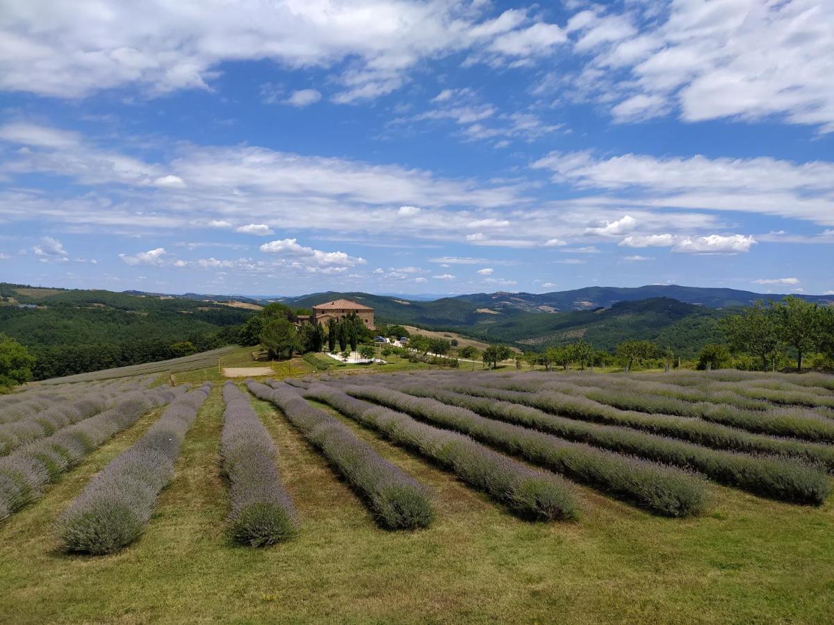 Locanda Cugnanello Anqua Экстерьер фото