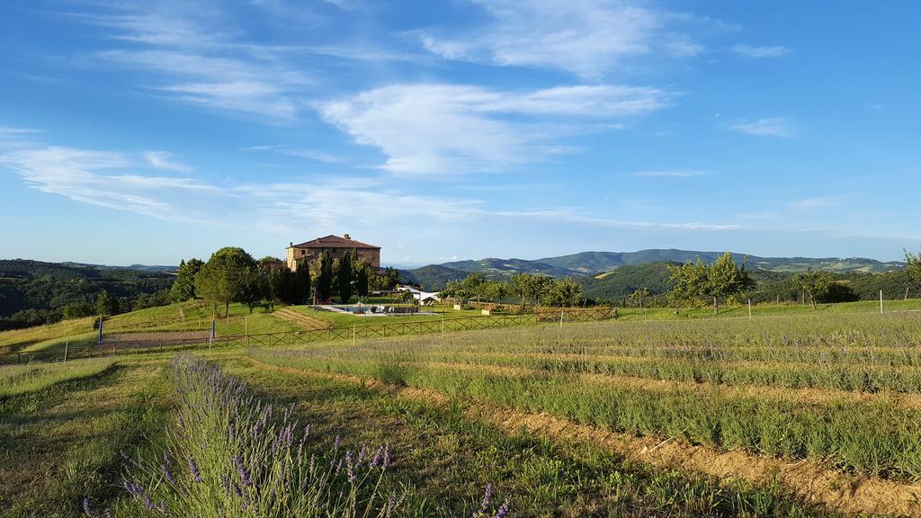 Locanda Cugnanello Anqua Экстерьер фото